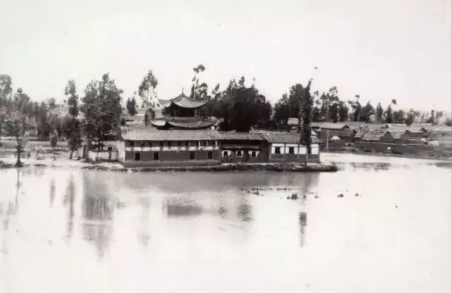 潘天寿属什么的_潘天寿年表_潘天寿出生几几年